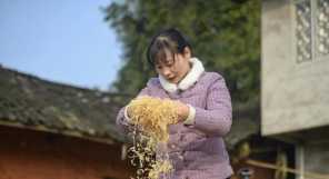 新华社点赞丨一年卖4000万斤萝卜！泸州妹子“川香秋月”创造了销售奇迹